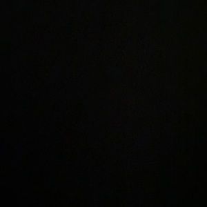 Meet your Posher, Nina